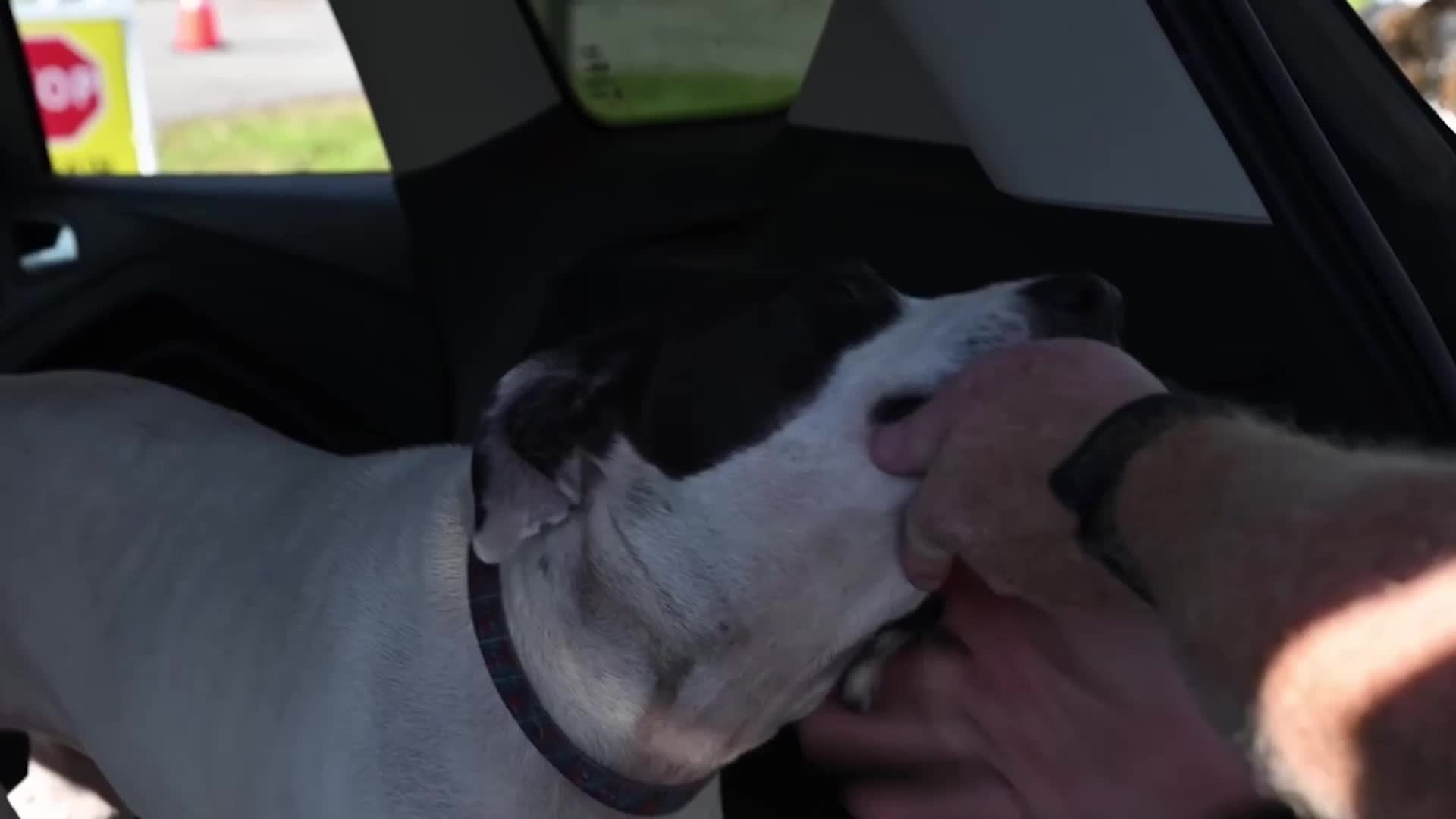 Help Arrives For Pets, Owners After Helene