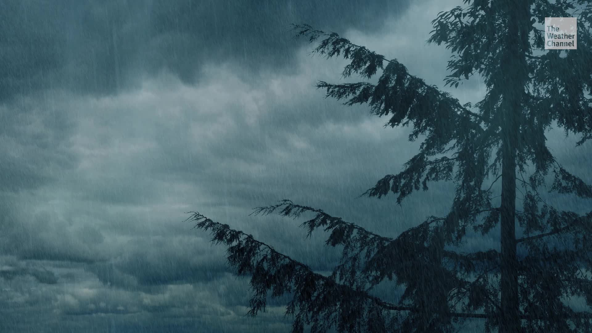 How to Survive a Hurricane Matthew: Essential Life-Saving Tips
