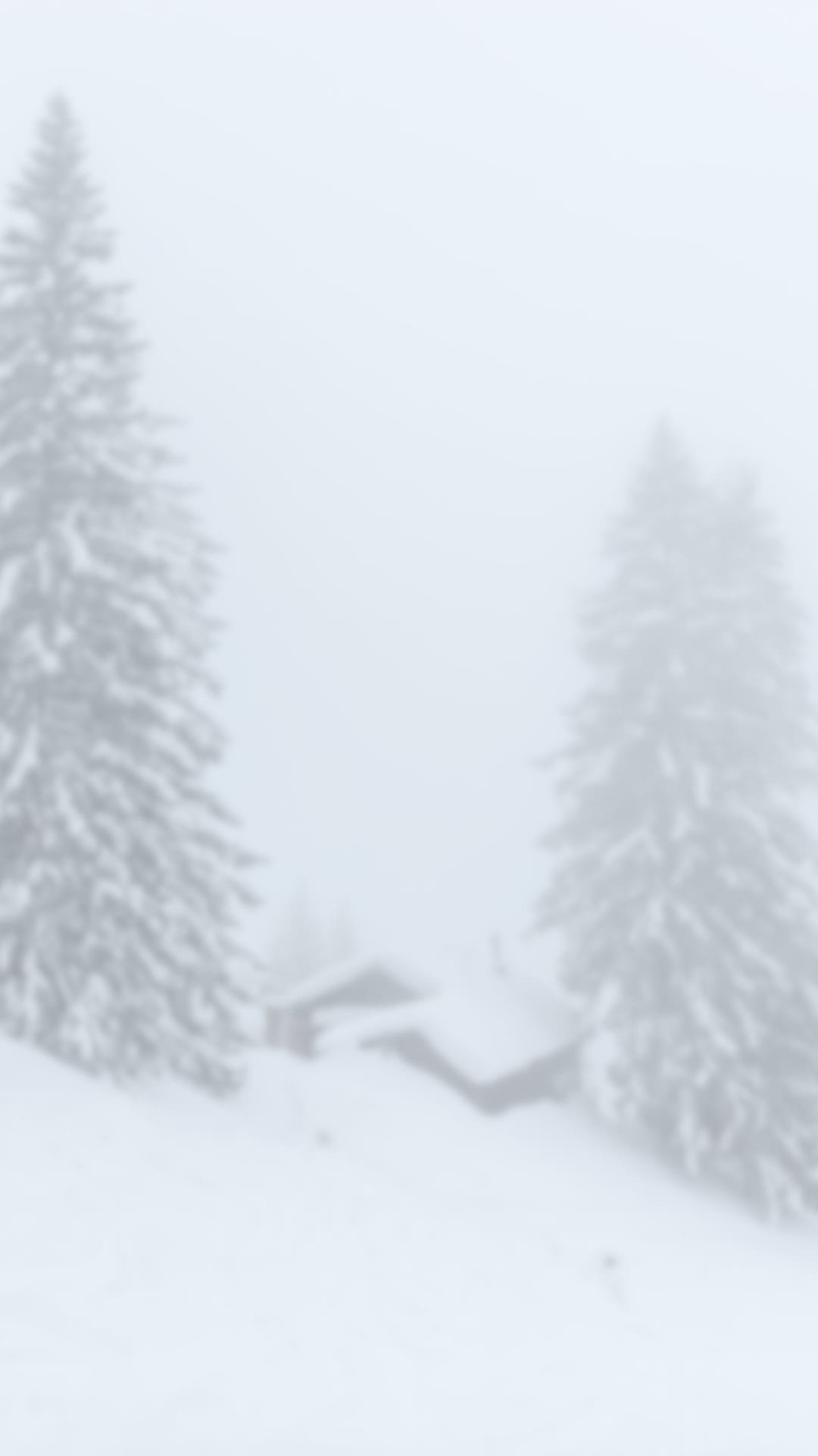 Shakespeare's Famous Stage Direction?