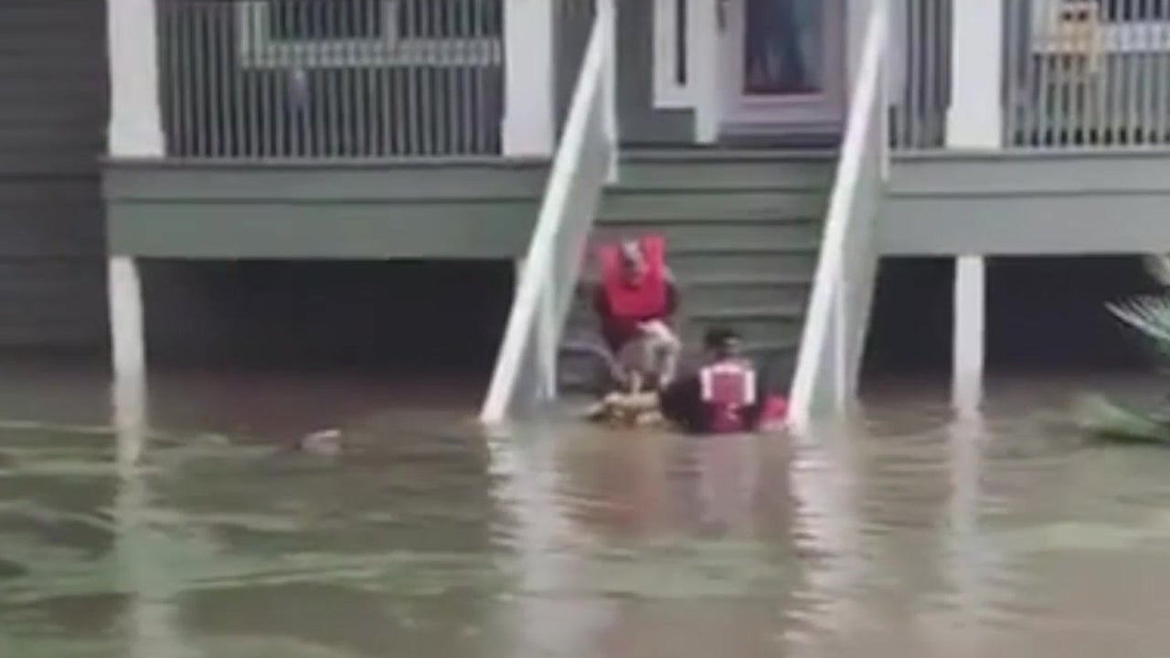 Rescuers Save Family, Pig and Dog from Flood