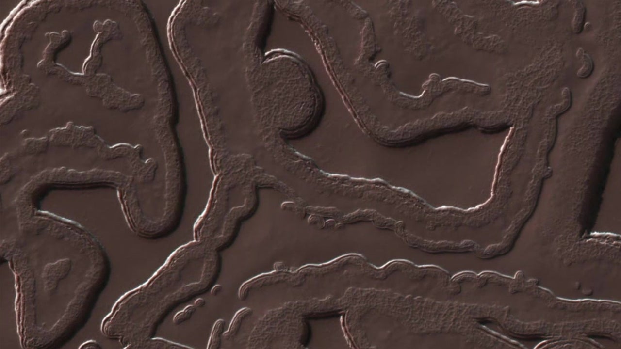Fantastic Landscape on Mars' South Pole