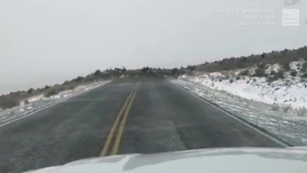 Elk Crossing Ahead Videos from The Weather Channel