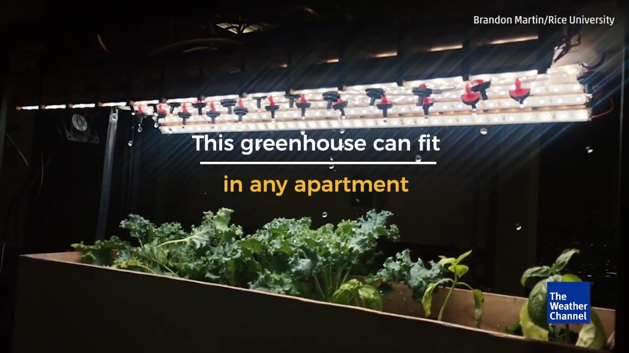 Automated Greenhouse Fits In Any Apartment