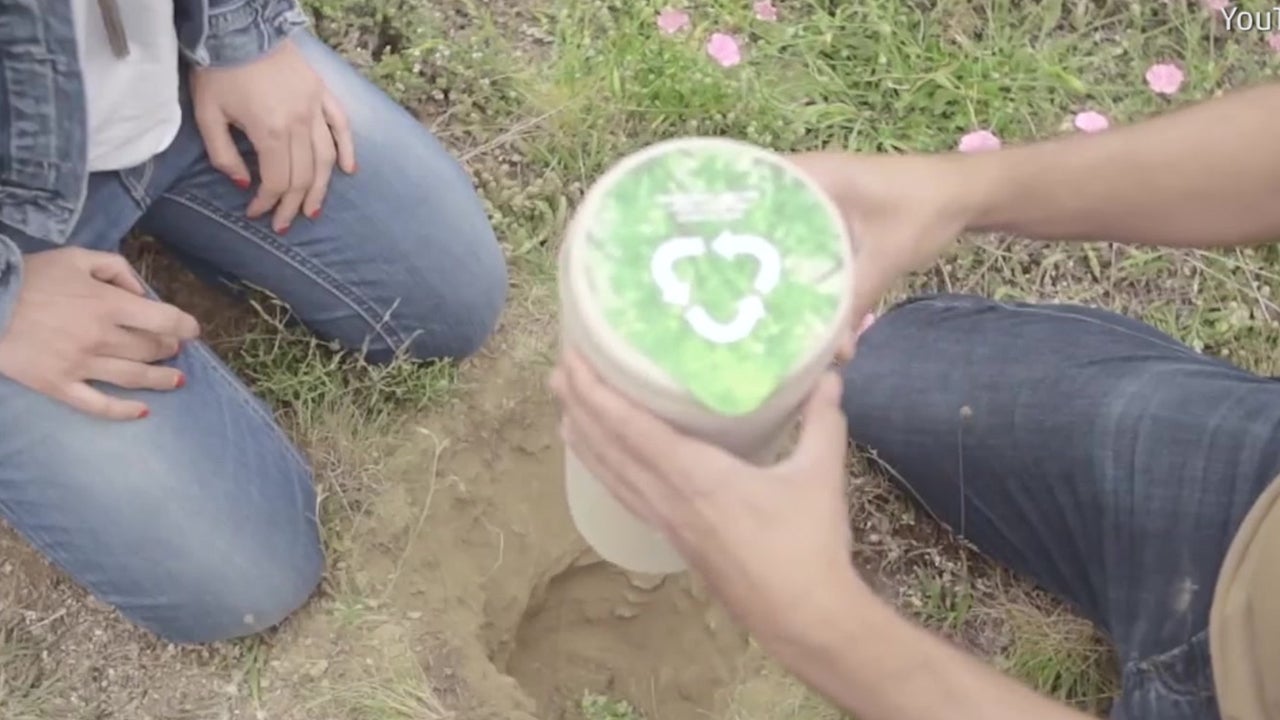 Plants Grow from Ashes in Hightech Urn Videos from The Weather Channel