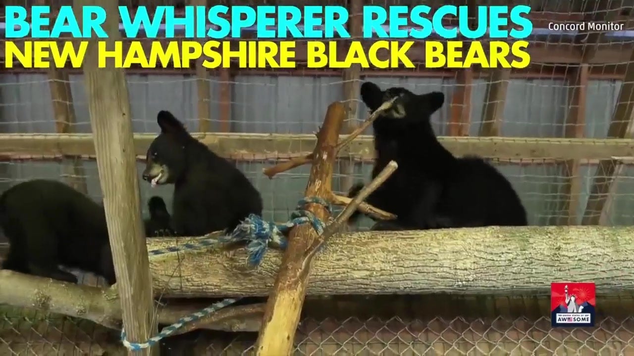 New Hampshire&rsquo;s Bear Whisperer Helps Raise Black Bears