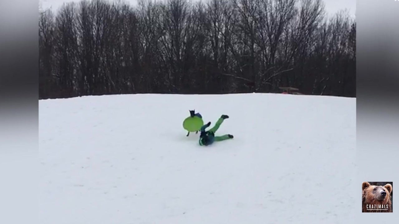 Dog Derails Child&rsquo;s Downhill Slide