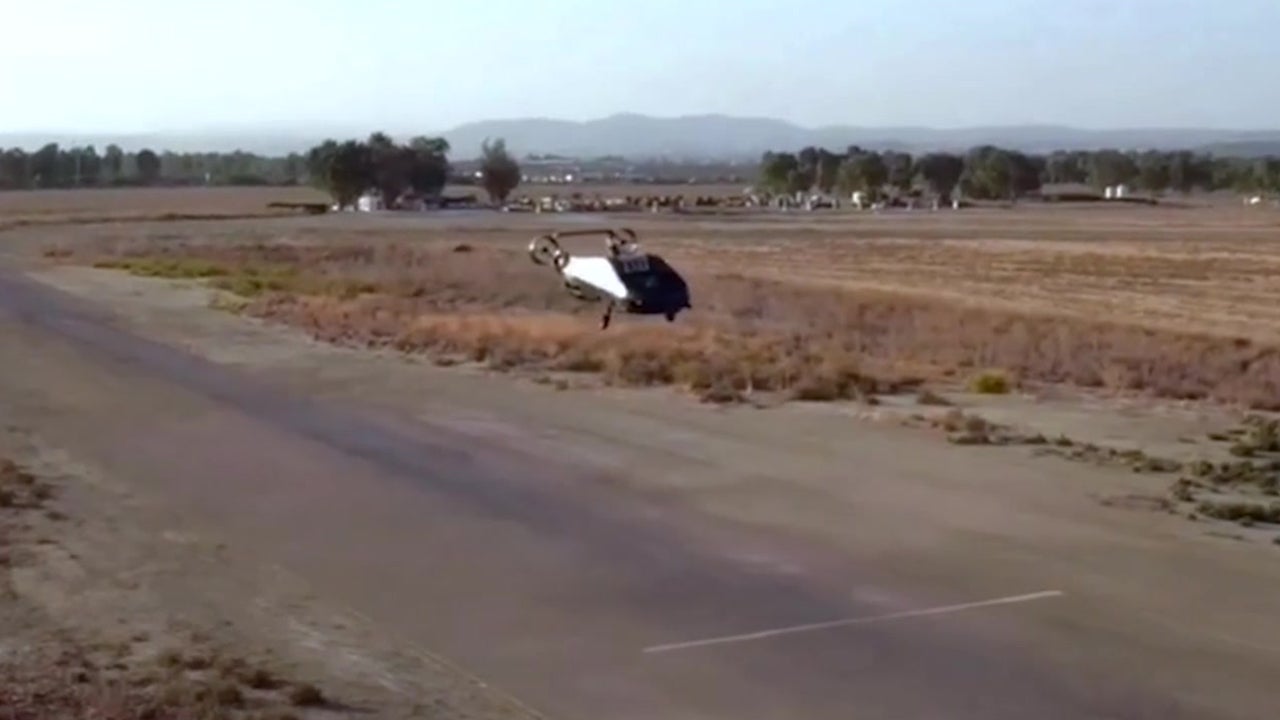 Cormorant Drone Learns How to Fly Videos from The Weather Channel