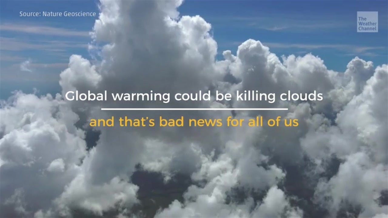 Co2 Emissions Killing Clouds Videos From The Weather Channel Weather Com
