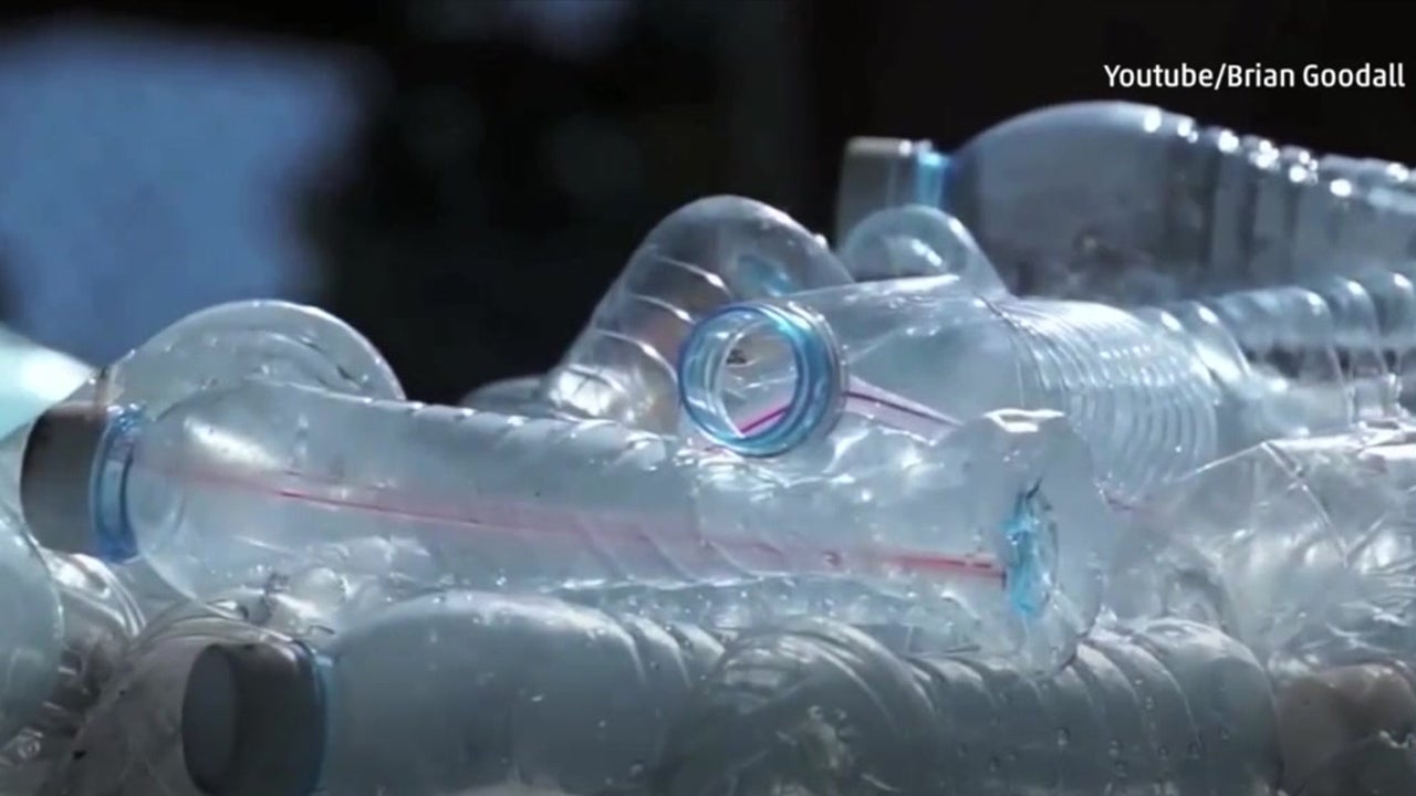 Scientists Discover Enzyme that Eats Plastic Waste The Weather Channel