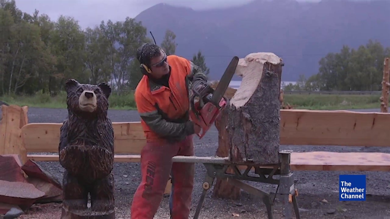 Chainsaw Turns Log Into an Eagle Head in 15 Minutes