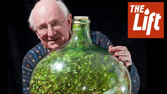 A Garden in a Bottle