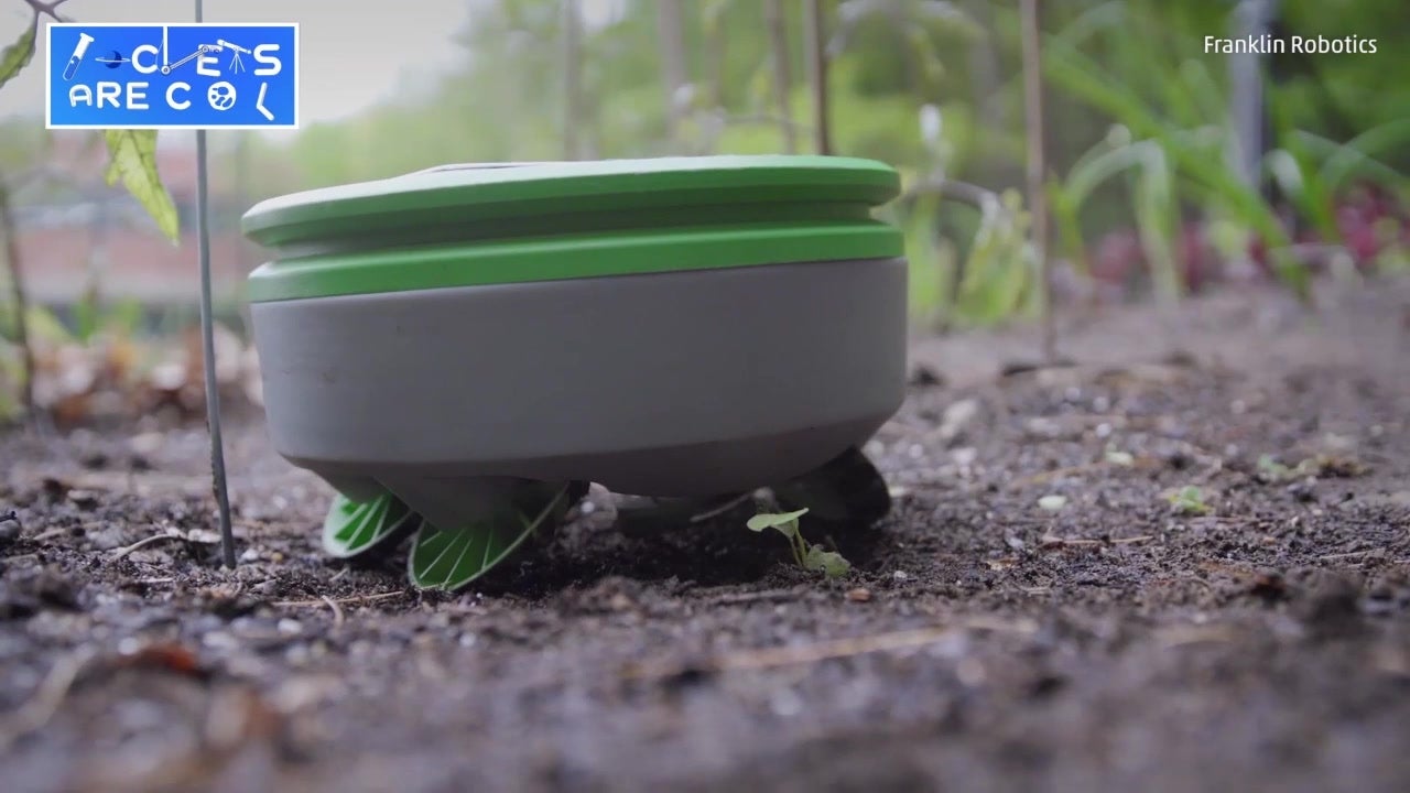 Garden Roomba Kills Weeds Without Chemicals Videos from The Weather