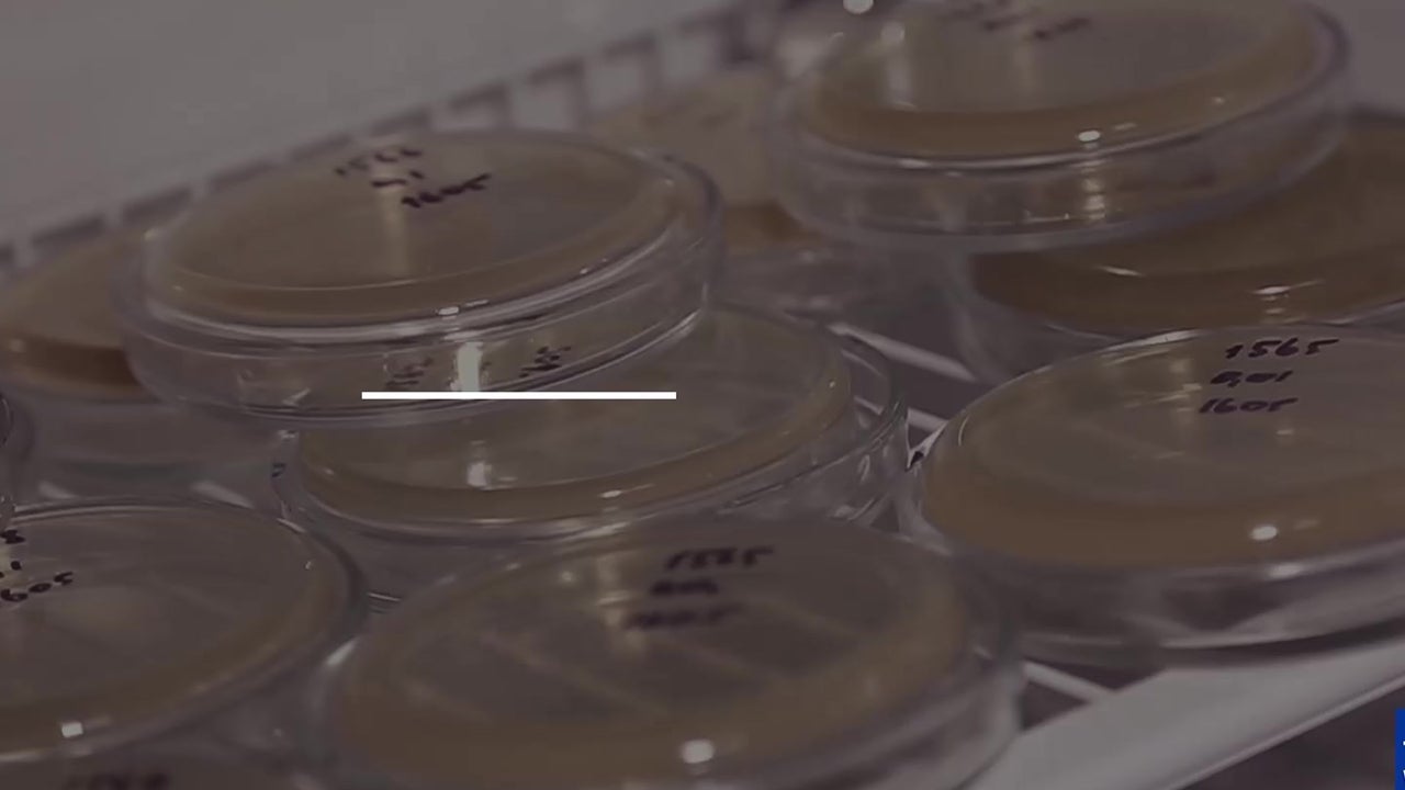 Study Antibiotic Resistance Linked to Warming Climate The Weather Channel