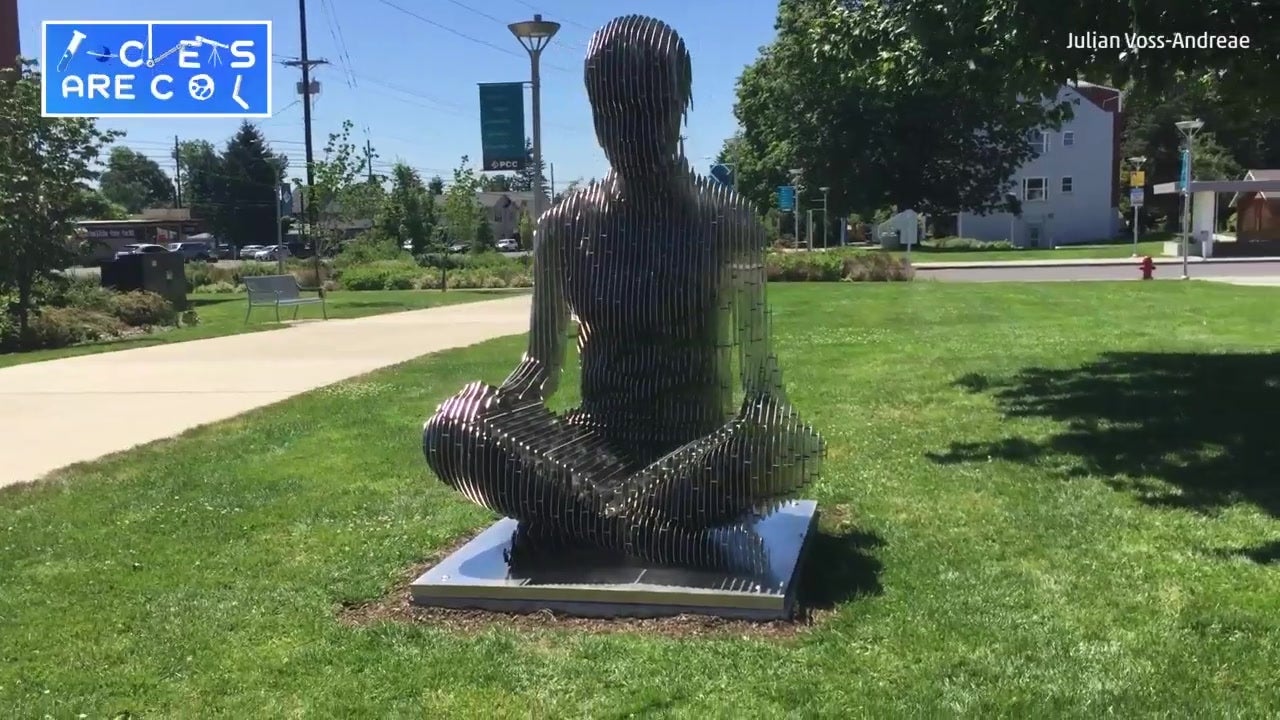 Incredible Sculpture Appears To Disappear