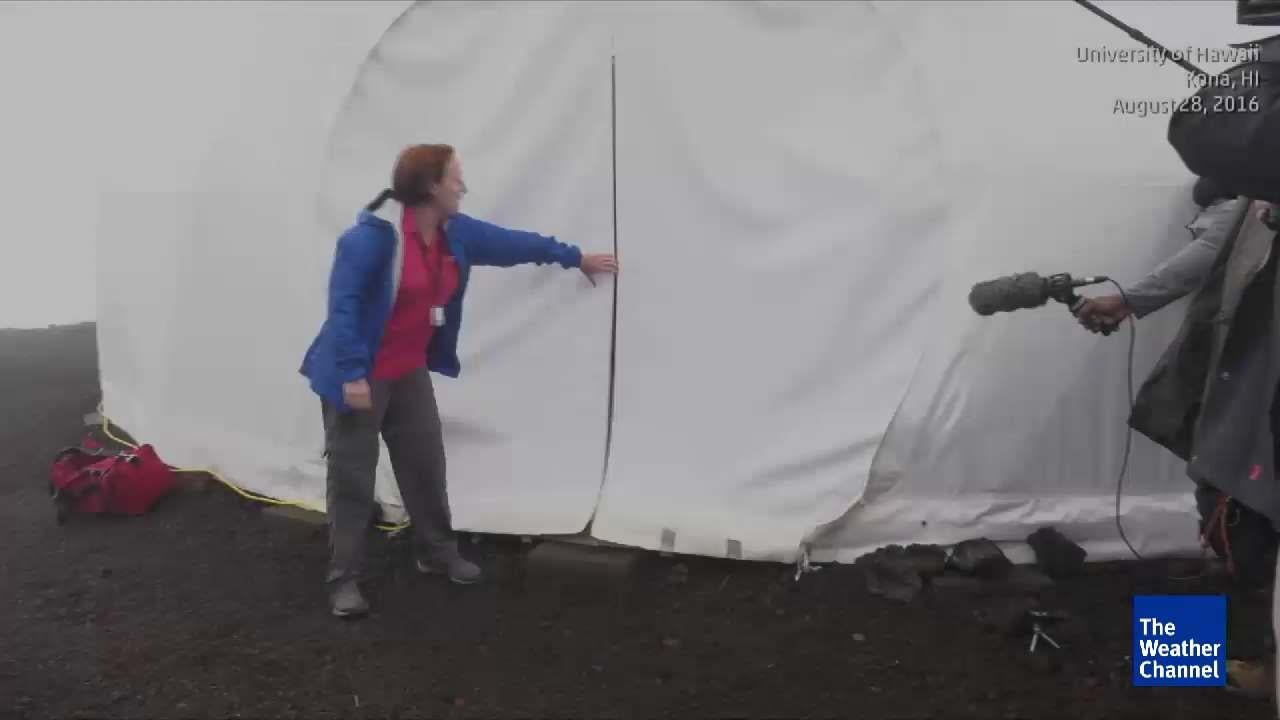 Closest Thing Yet to Life on Mars