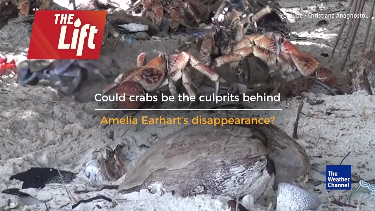 Gruesome Theory Behind Earhart’s Disappearance The Weather Channel