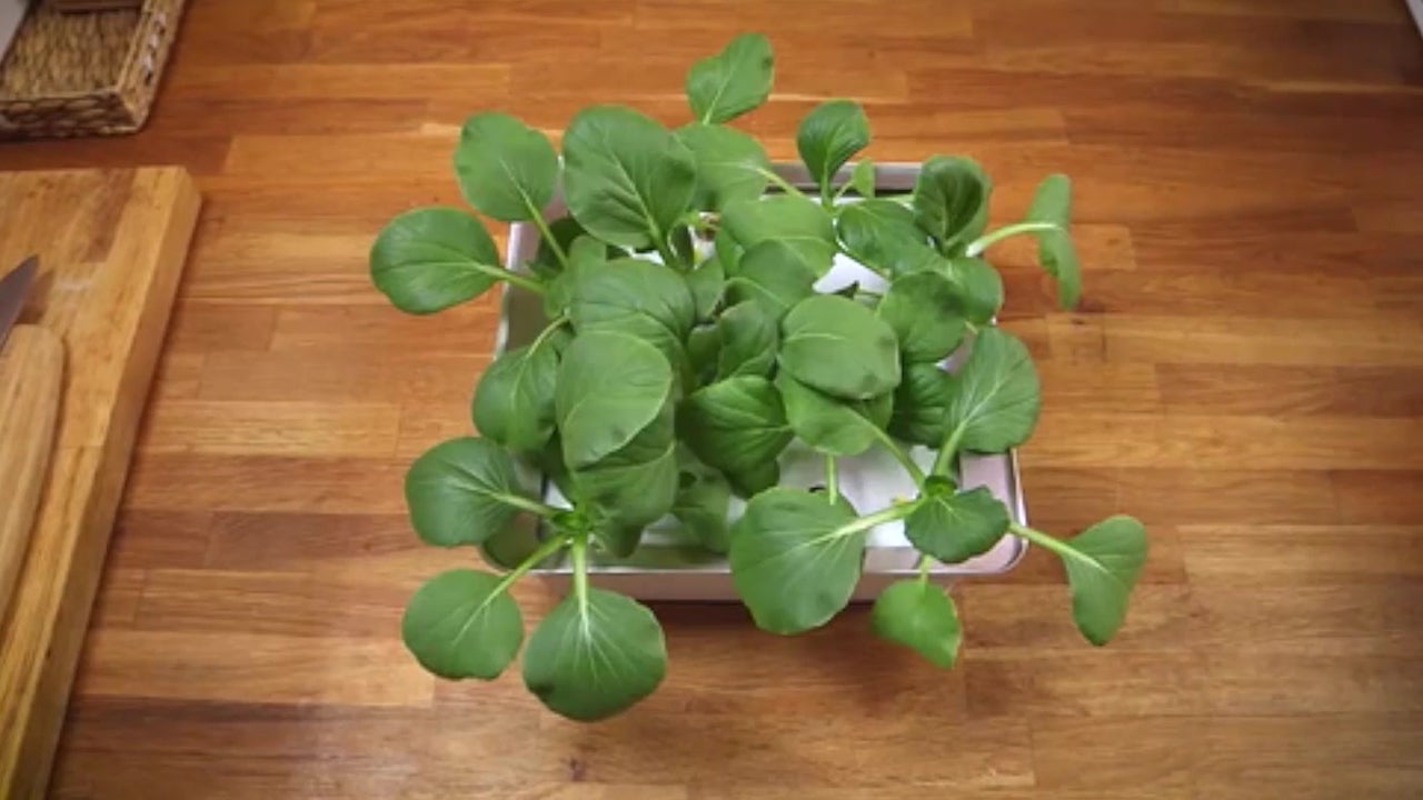Nanofarm Grows Organic Food At Home