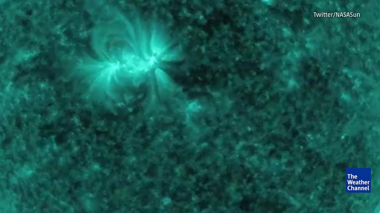 Watch Mesmerizing Magnetic Waves on Sun