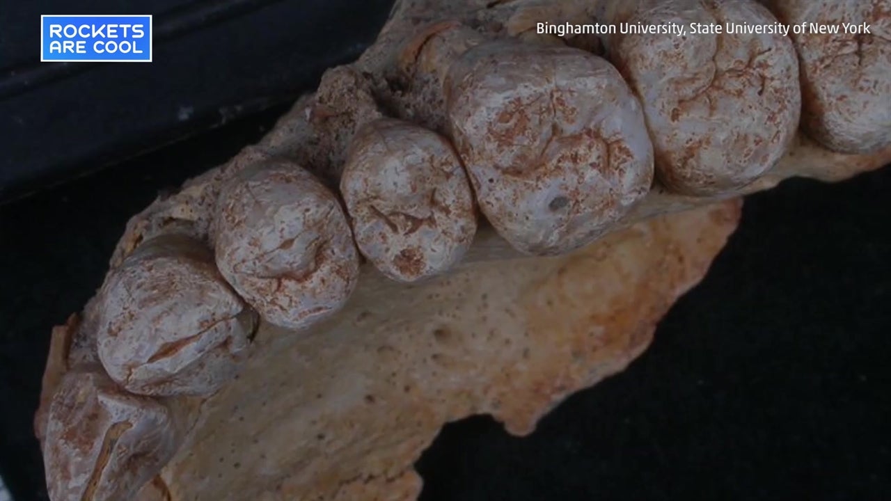 Oldest Human Fossil Outside Africa Unearthed