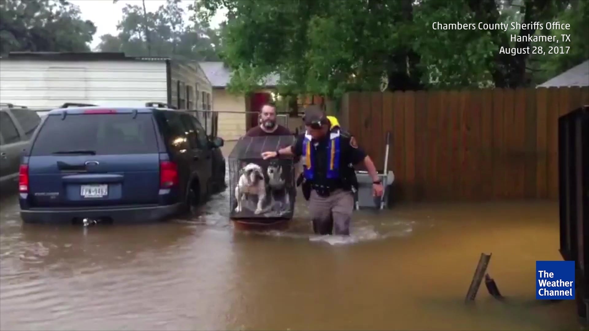 Sheriff&rsquo;s Deputies Rescue Pets in Hankamer, TX