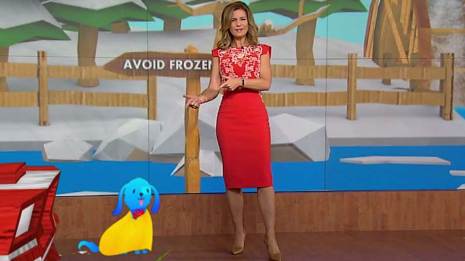 Keeping Your Pets Safe this Winter