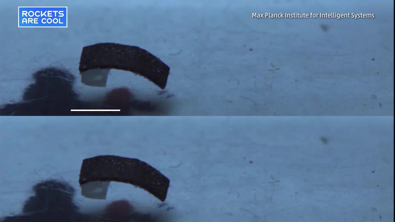 Scientists Design Worm-like Robot That Can Go Inside Human Body