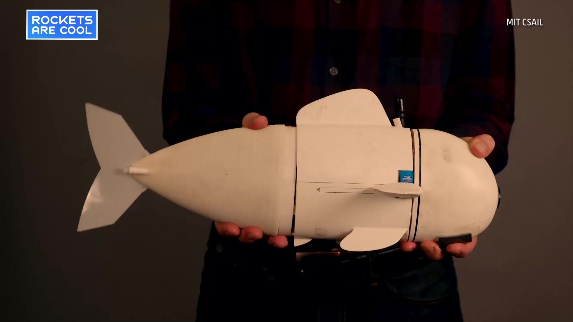 Robotic Fish Developed By MIT To Help Monitor Ocean Changes