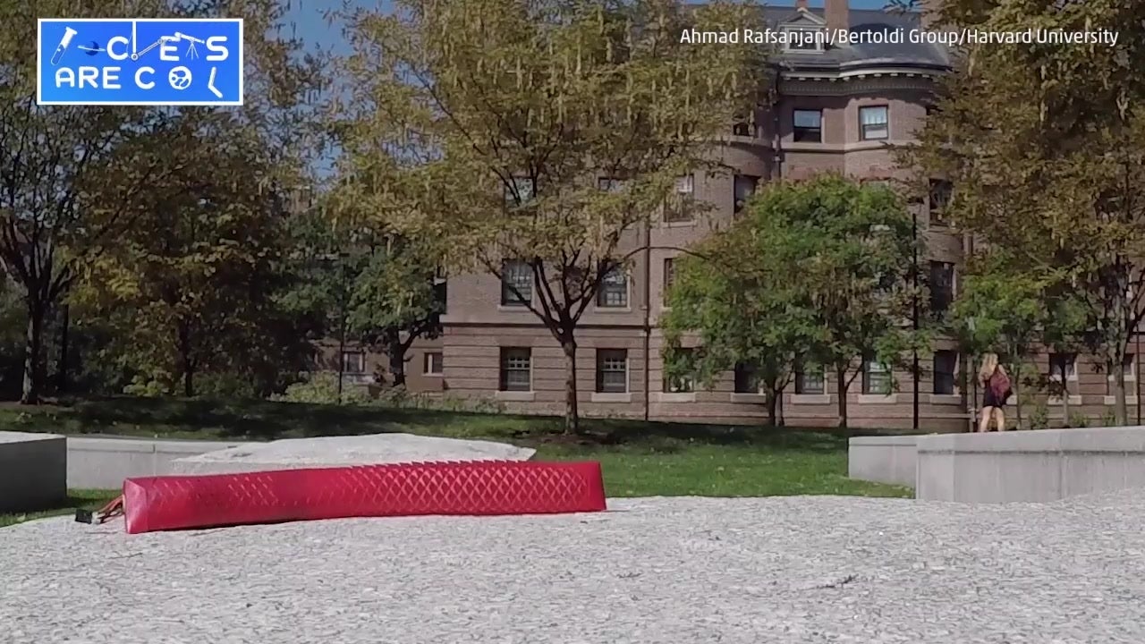 Researchers Build Snake-Inspired Robot