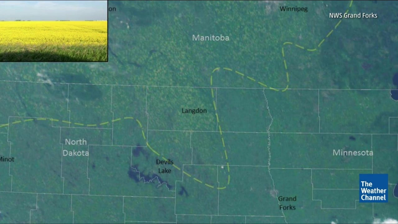 Can You See Cooking Oil from Space?