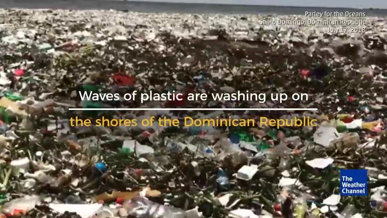 Santo Domingo, Dominican Republic, Working to Clean Polluted Beaches