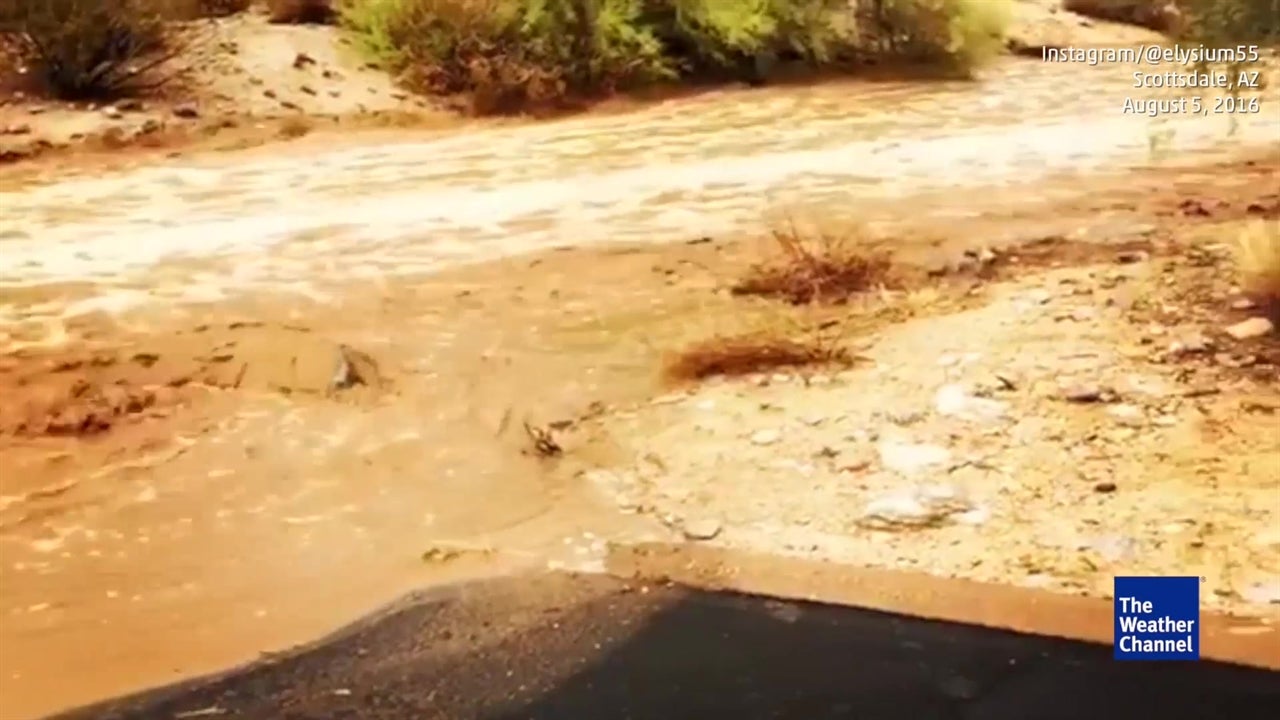 Monsoon Rains Wash out Arizona Road Videos from The Weather Channel