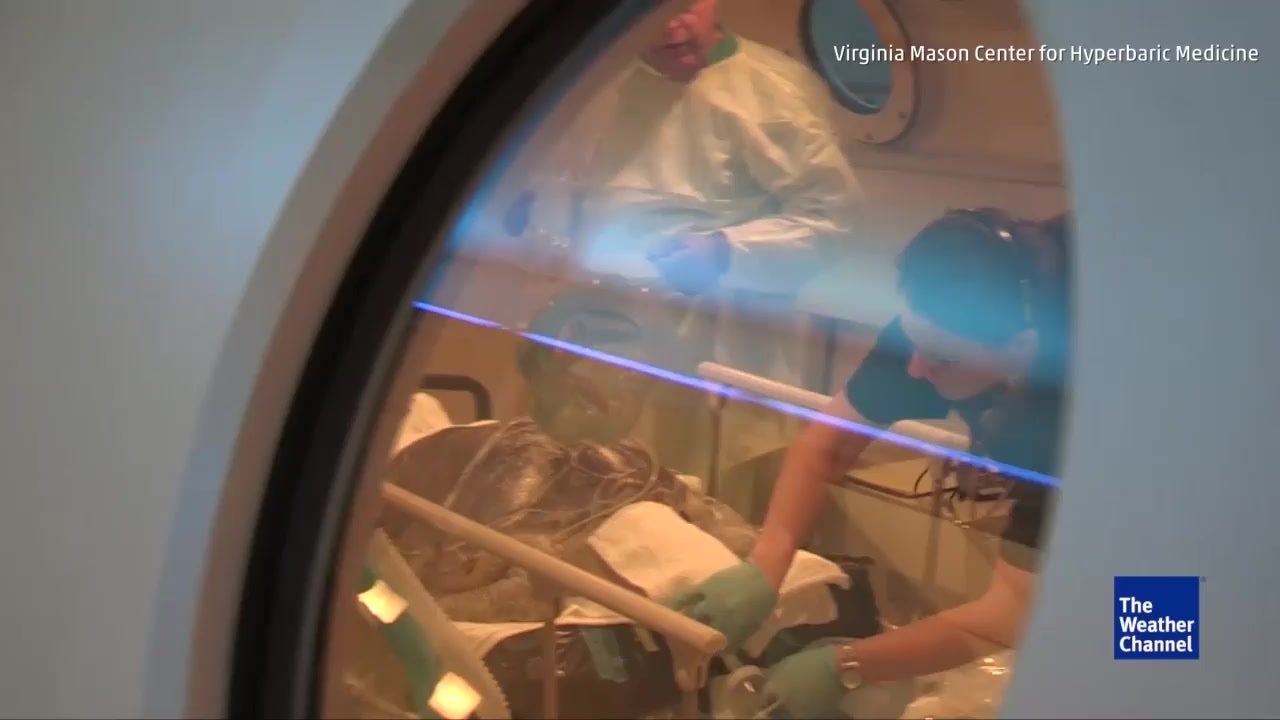 Sea Turtle Treated for &lsquo;the Bends&rsquo;