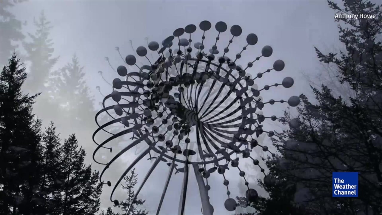 Video You Could Watch Sculptures For Hours