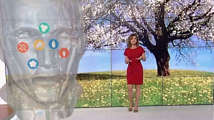 Tips to Help You Survive Allergy Season