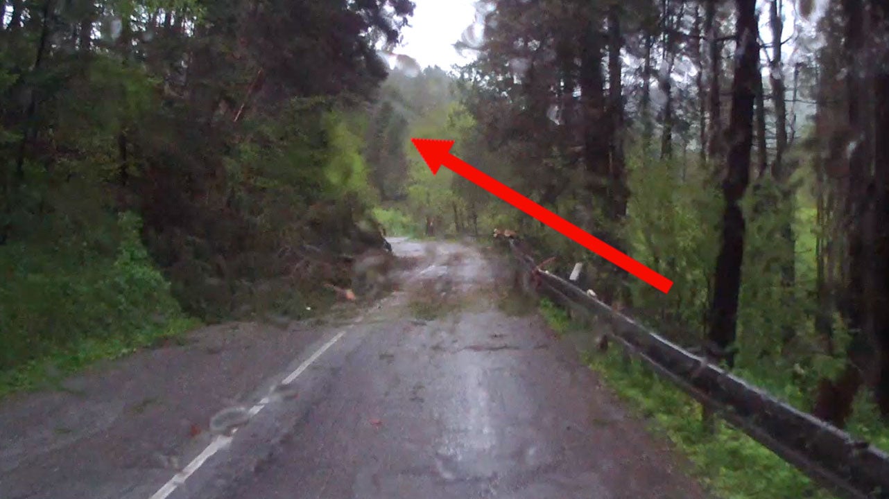 Automovilista huye de árboles que caen Videos de The Weather Channel