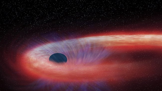 Black Hole Feeds on Star Twice as Big as the Sun