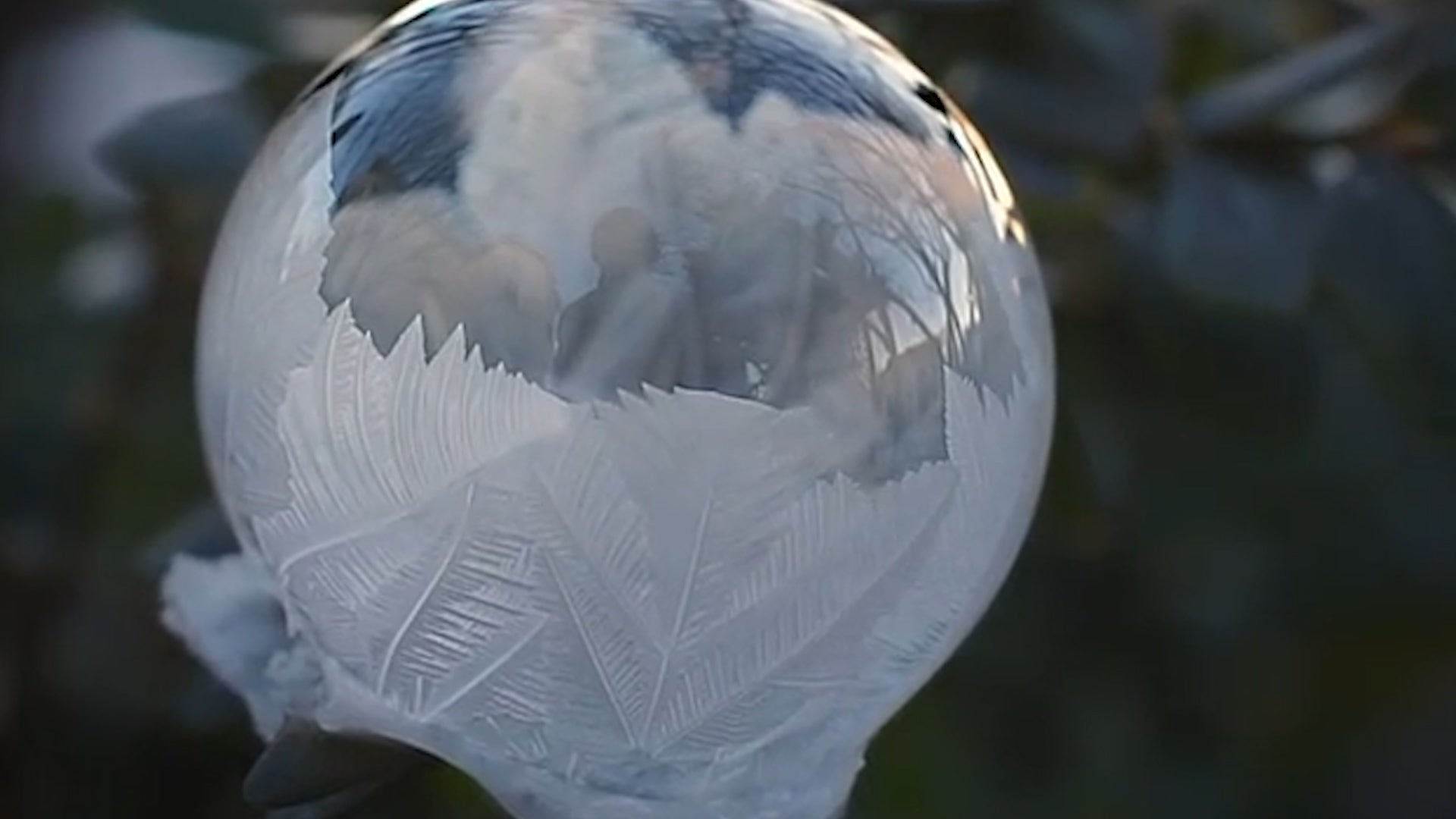 Photographer Captures Freezing Bubble