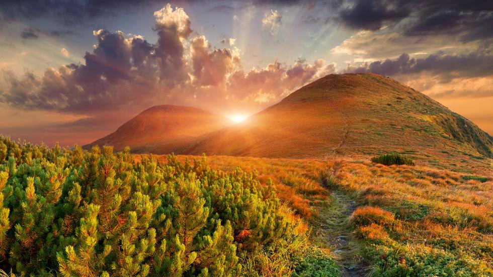 Extreme Milde Hier wird es bis 15 Grad warm Videos from The Weather