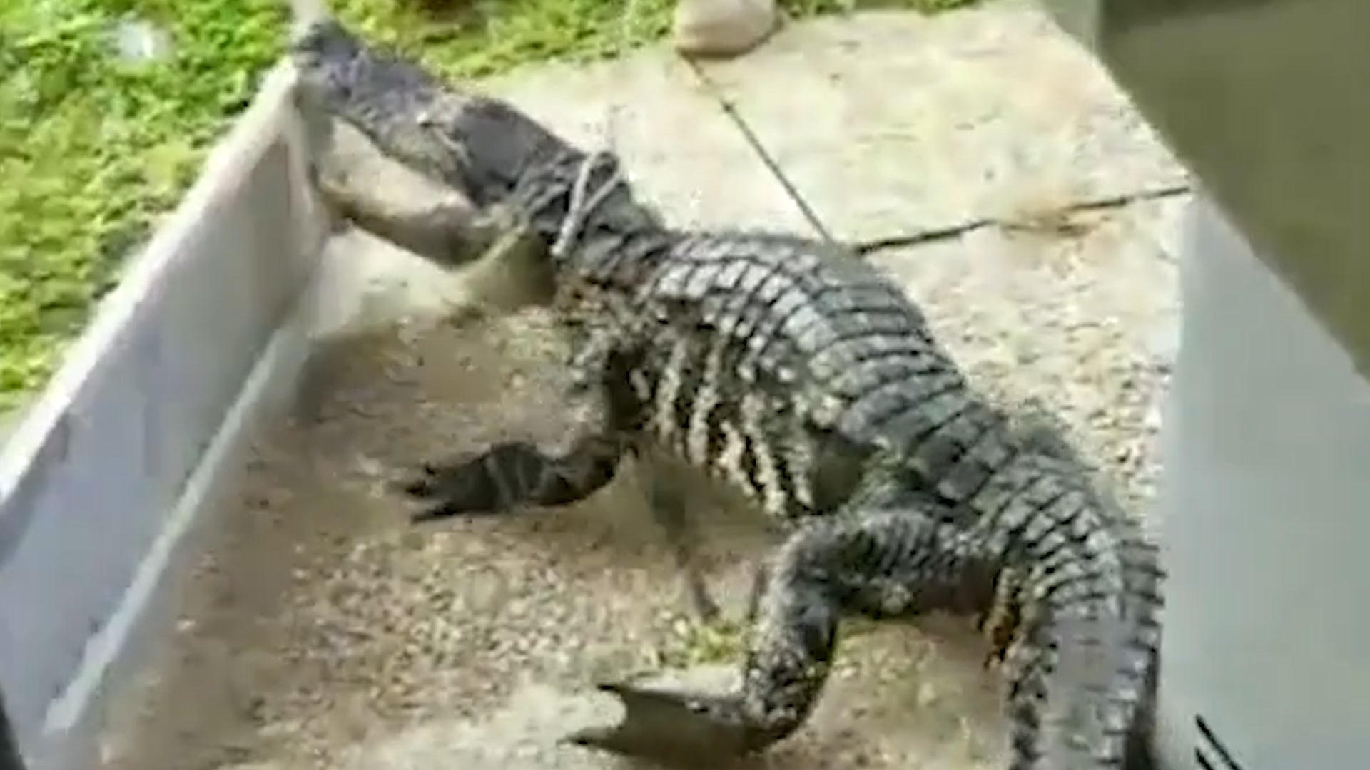 Metairie, LA (70001) Weather Forecast and Conditions The Weather