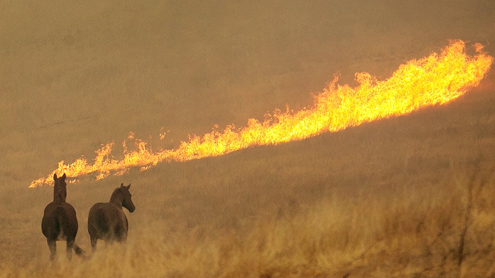 Norwalk, CT (06851) Weather Forecast and Conditions The Weather