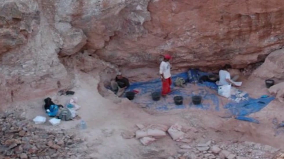 Astonishing Fossil Discovery Evolutions Rewrite Is Here - ryqr91q