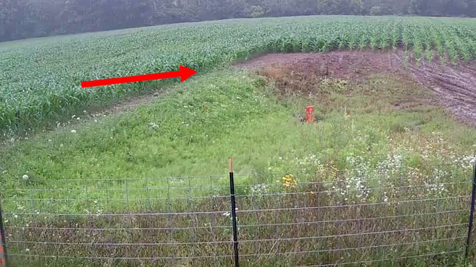 Watch Pond Form in Seconds