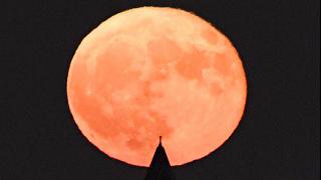 Trio of Celestial Treats on Tap