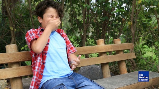 Allergy Season is Getting Worse and Lasting Longer; Here&rsquo;s Why