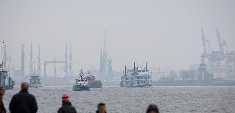 Hamburg: Angeschwemmte Kügelchen vergiften Hunde - Videos ...