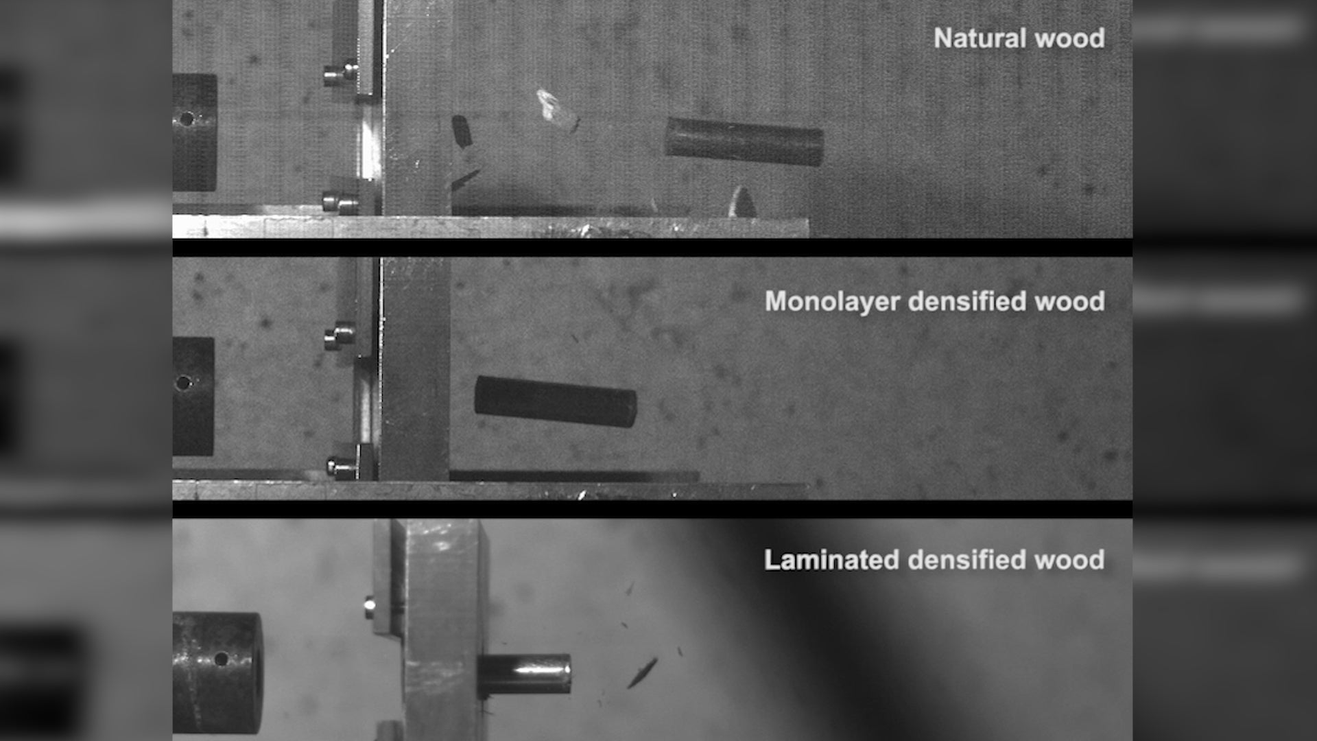Compressed Wood Stronger Than Steel